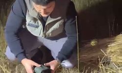 Doğa Koruma'dan kullanımı yasak ses cihazlarına karşı mücadele
