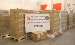 Edirne Kapıkule Gümrük Kapısı'nda 79 bin 790 serum ve infüzyon seti ele geçirildi