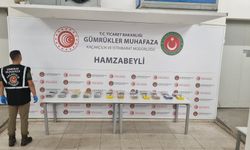 Edirne'de gümrük kapılarında 147 kilo esrar ve 27 kilo kokain ele geçirildi