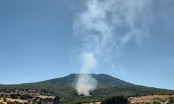 Eskişehir'de orman yangını