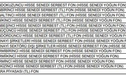 Finansal İstikrar Komitesi toplandı (3)
