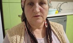 Fındık hasadından dönerken ayağı kayıp bahçeye yuvarlanan kadın öldü