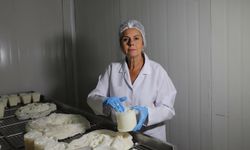 Fransız tekniğiyle Türk peyniri üretiyor