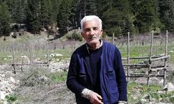 Gaziantep'te otomobilin çarptığı yaya öldü