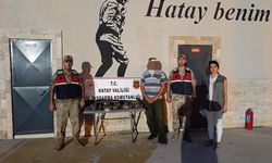 Göç yolundaki 7 arı şahinini vuran avcıya 1 milyon 356 bin TL'lik ceza