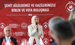 Göktaş: Terörsüz Türkiye süreci, geçmişi unutmak değil, milli birlik ve beraberliğimizi daha da güçlendirmenin adıdır