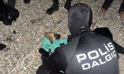 Gölete düşen yavru köpeği dalgıç polisler kurtardı