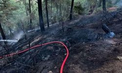 Hatay'da orman yangını
