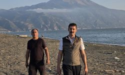 Hatay'da yavru kaplumbağalar denizle buluşuyor