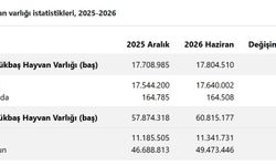 Hayvan varlığı haziran ayında arttı