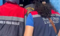 İncir işletmesinde 25 ton etiketsiz ürün ele geçirildi