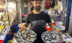 İzmir'de av sezonu başladı, balık tezgahlarında çeşitlilik arttı