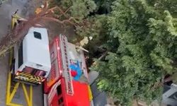 Kadıköy'de öğrenci almak için bekleyen servis minibüsünün üzerine ağaç devrildi