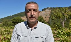 Kavacık üzümü bahçede 60, markette 150-200 lira
