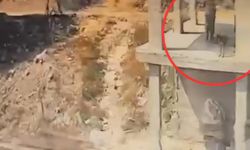Komşusunun köpeğine, tavuklarını yediği için şiddet uygulamış