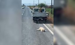 Köpeği kamyonetin arkasına bağlayıp sürükleyerek götürdü