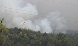 Kozan'da başlayıp, 2 ilçeye daha sıçrayan orman yangını 2'nci gününde (3)