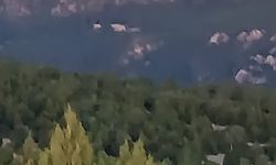 Kütahya'da orman yangını