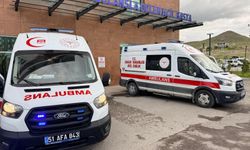 Lastiği patlayan minibüs şarampole devrildi; 5 yaralı