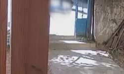 Maltepe'de kiracının, ev sahibinin eşini öldürdüğü görüntü ortaya çıktı