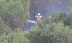 Maltepe'de otluk alanda çıkan yangın askeri bölgeye sıçradı