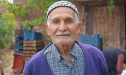 Manisa'da geleneksel yöntemlerle 3 günlük pekmez mesaisi