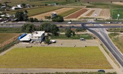 Manisa'da üzüm sergileri renk cümbüşü oluşturdu