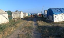 Mevsimlik işçiler tarlada, çocukları oyunda / Ek fotoğraflar
