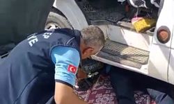 Minibüsün motoruna sıkışan yavru kedi kurtarıldı