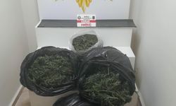 Muğla'da uyuşturucu operasyonu; 2 tutuklama