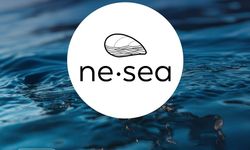 NeSea, mavi ekonomi yarışmasında dünya birincisi oldu