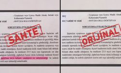 'Neyin kafasını yaşadığı anlaşılamadı' ifadeli savcılık kararı iddiasına soruşturma