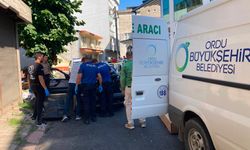 Park halindeki otomobilinde ölü bulundu