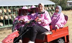 'Pembe maskeli' kadın arıcılar hasada başladı