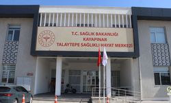 Sağlık hizmetine ulaşamayanlara görüntülü görüşmeyle destek