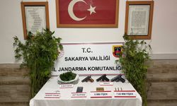 Sakarya'da 6 kilo esrar ile 102 kök kenevir ele geçirildi; 4 tutuklama