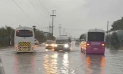 Sakarya'da dere taştı; su baskınları yaşandı (2)