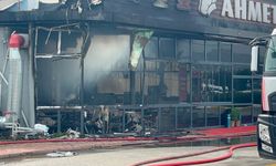 Sakarya'da restoranda yangın (2)