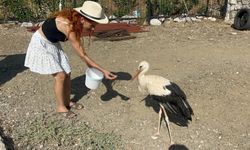 Sitenin bahçesine konan leyleğe sahip çıkıp, balık ve etle besliyorlar