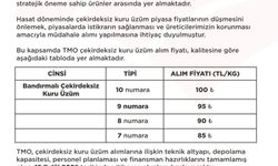 TMO'nun çekirdeksiz kuru üzüm alım fiyatı belirlendi