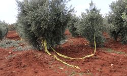 Traktörden düşen çiftçi öldü