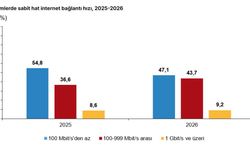 TÜİK: Girişimlerin yüzde 52,9'u 100 megabit ve üzeri hızda internet kullandı