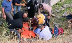 Tunceli'de hafif ticari araç çay kenarına devrildi: 2'si ağır, 5 yaralı