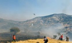 Tunceli'de örtü yangını