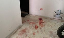Üvey babasını bıçaklayarak öldüren sanık: Annemi korumak için müdahale ettim