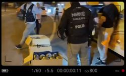 Yolcu otobüsünde 39 kilo 700 gram skunk ele geçirildi;1 gözaltı