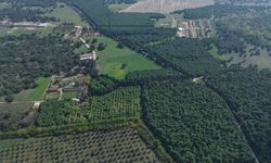 7 asırlık harada milyonluk yarış atları yetiştiriliyor