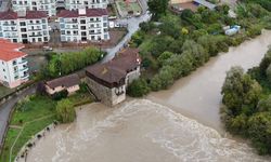 Amasra'da fırtına; çok sayıda ağaç devrildi (5)