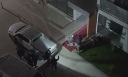 Amasya'da binaya giren yaban domuzu polis operasyonuyla etkisiz hale getirildi