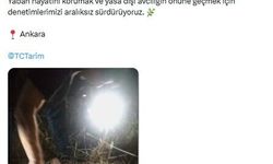 Ankara'da yasa dışı av denetimi; ses cihazları ve kameralar ele geçilirdi